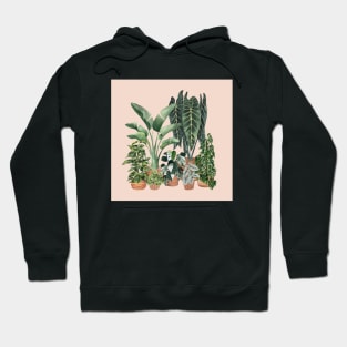 House Plants Illustration 3 On Pink Hoodie